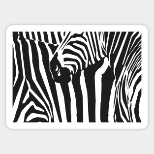 Zebra Sticker